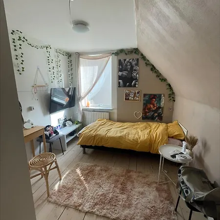 Hyggely 낙스코우